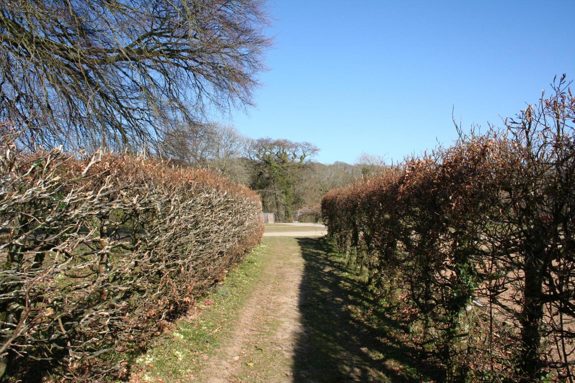Great Trethew Manor Hotel & Self Catering Lodges Liskeard Buitenkant foto