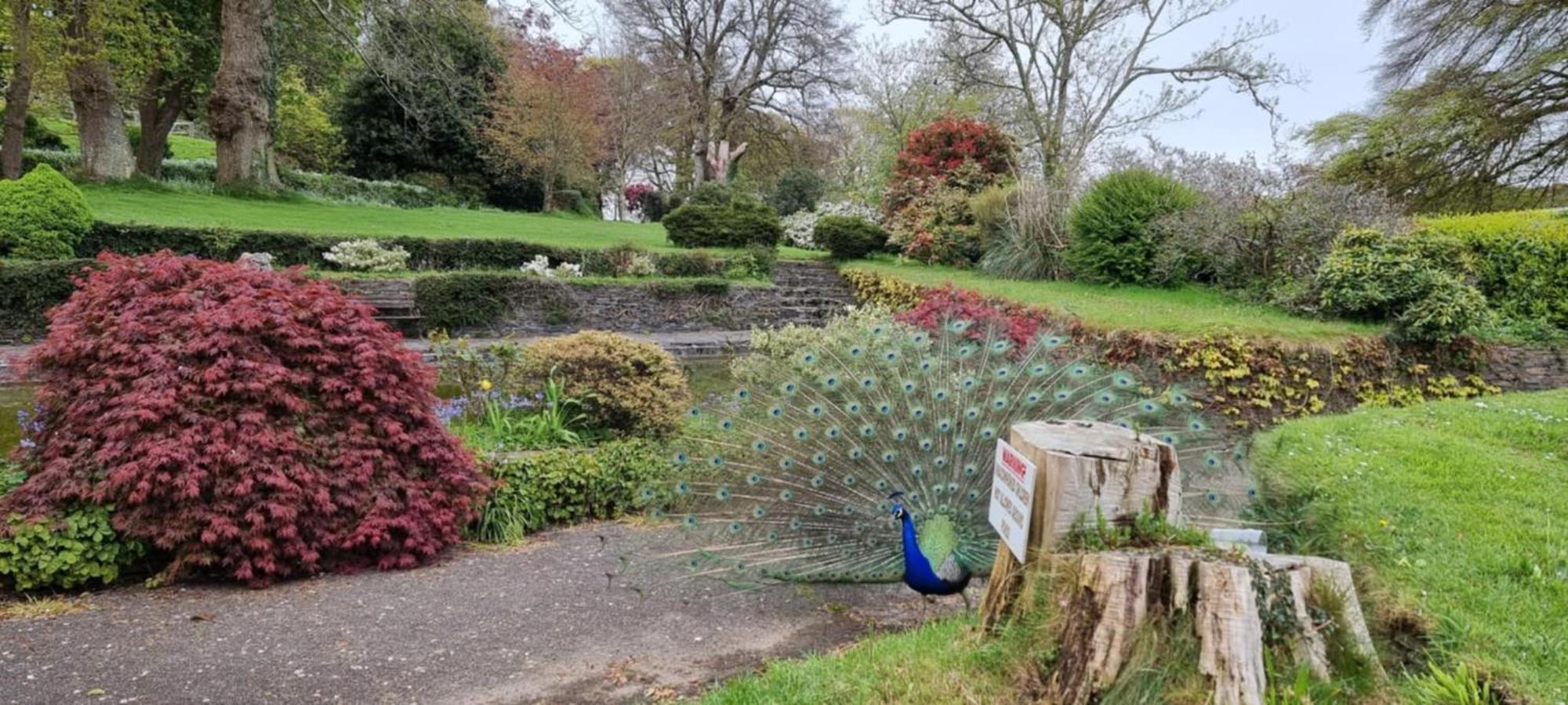 Great Trethew Manor Hotel & Self Catering Lodges Liskeard Buitenkant foto