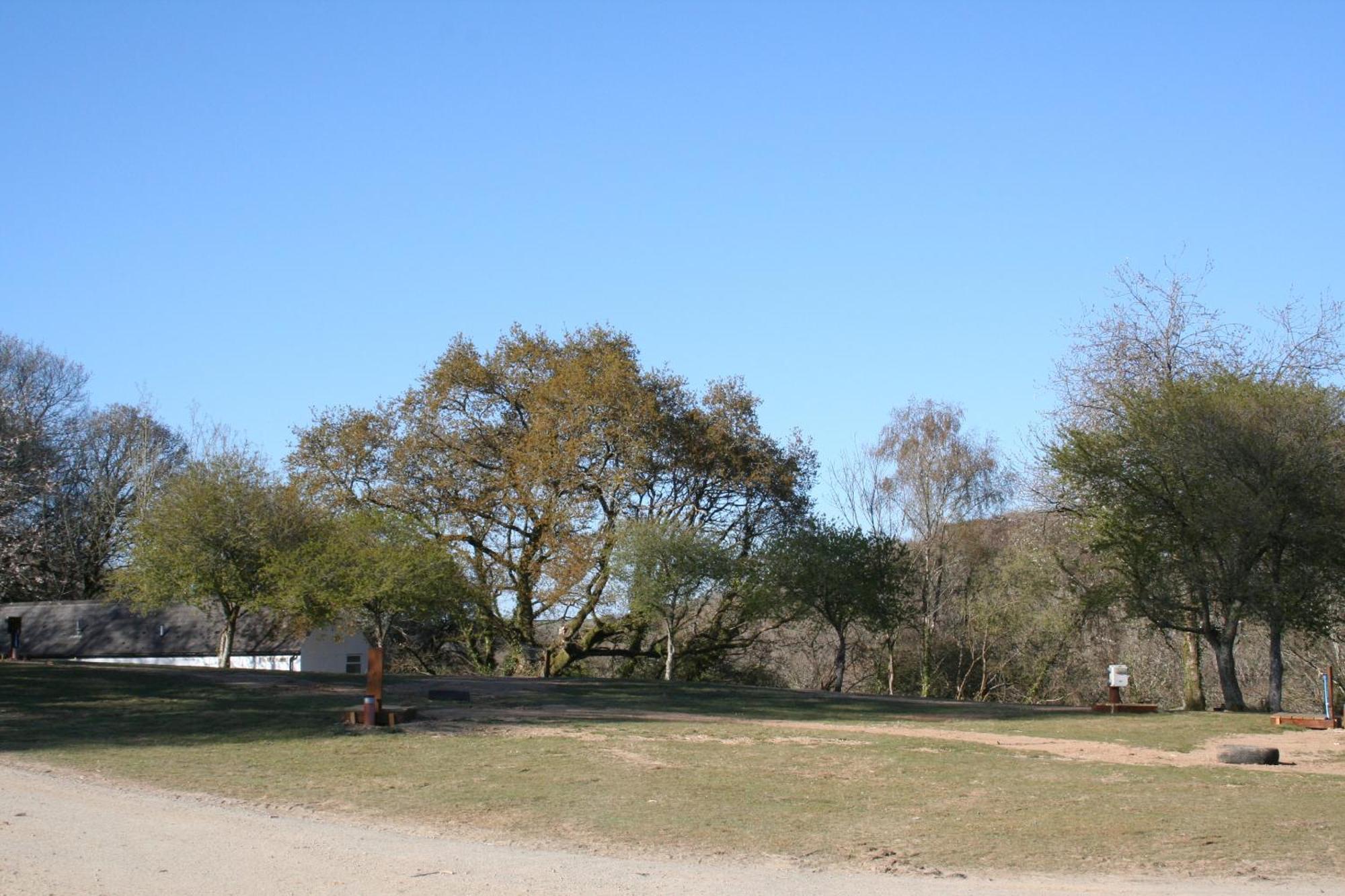 Great Trethew Manor Hotel & Self Catering Lodges Liskeard Buitenkant foto